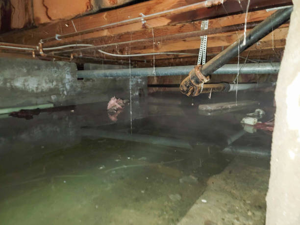 Best Water damage cleanup near me  in Morrisville, VT