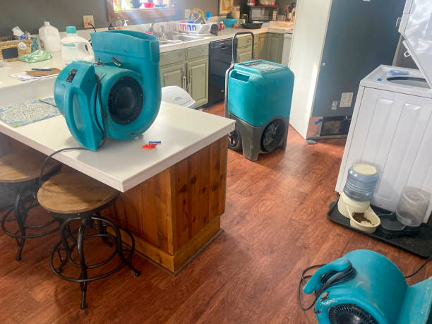 Best Professional water damage repair  in Morrisville, VT