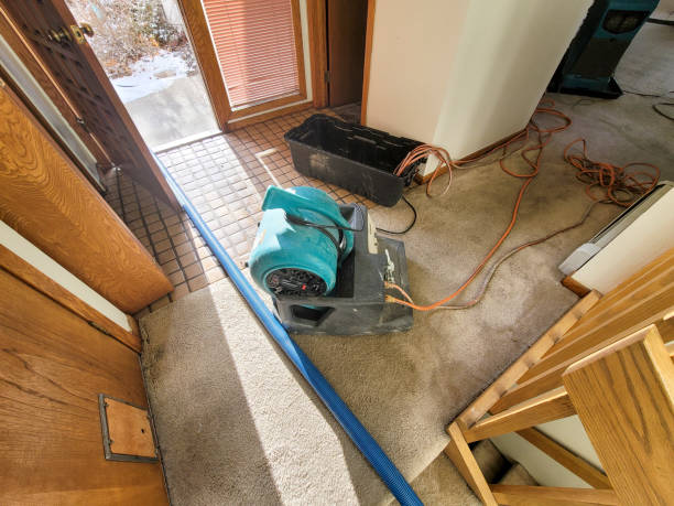 Best Emergency water damage restoration  in Morrisville, VT