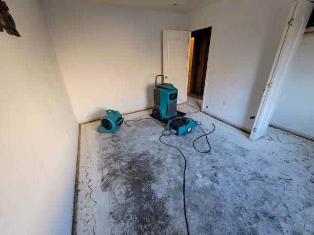 Best Water damage cleanup near me  in Morrisville, VT