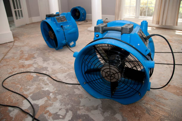 Best Fire Damage Restoration  in Morrisville, VT