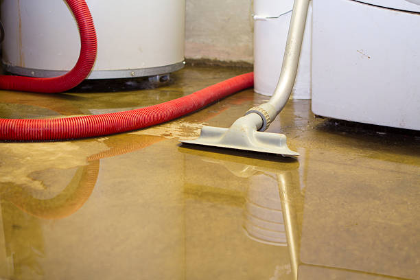 Best 24-hour water damage restoration  in Morrisville, VT