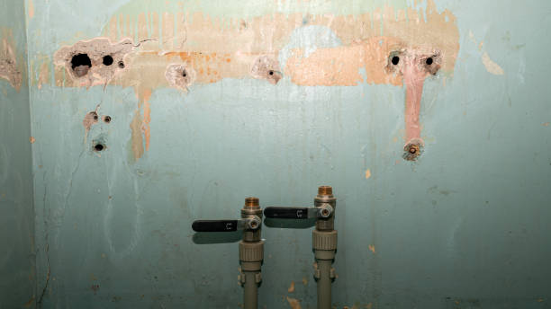 Best Carpet water damage restoration  in Morrisville, VT