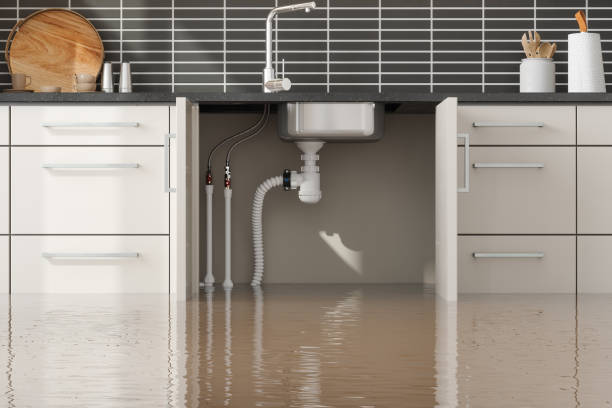 Best Ceiling water damage repair  in Morrisville, VT
