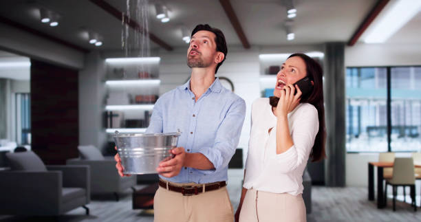 Best Local water damage restoration  in Morrisville, VT