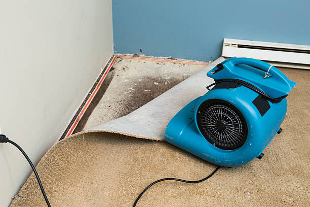 Best Basement water damage restoration  in Morrisville, VT